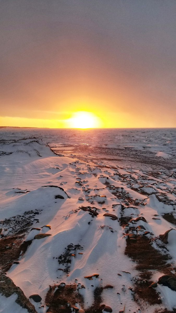 Last #sunset for February 2019 — Wind and snow can create beautiful art along the coast of Cape Breton 🌬️❄️
#CapeBreton #freezing #winter #ExploreCB #ExploreCBWinter #ExploreCanada #visitnovascotia #explorethecoast #imagesofcanada #enjoycanada  #beach #visitCapeBreton #snowart