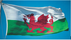 Happy St David's Day! #WelshWine #WelshVineyards <a href="/WinetrailWales/">Wine Trail Wales</a>