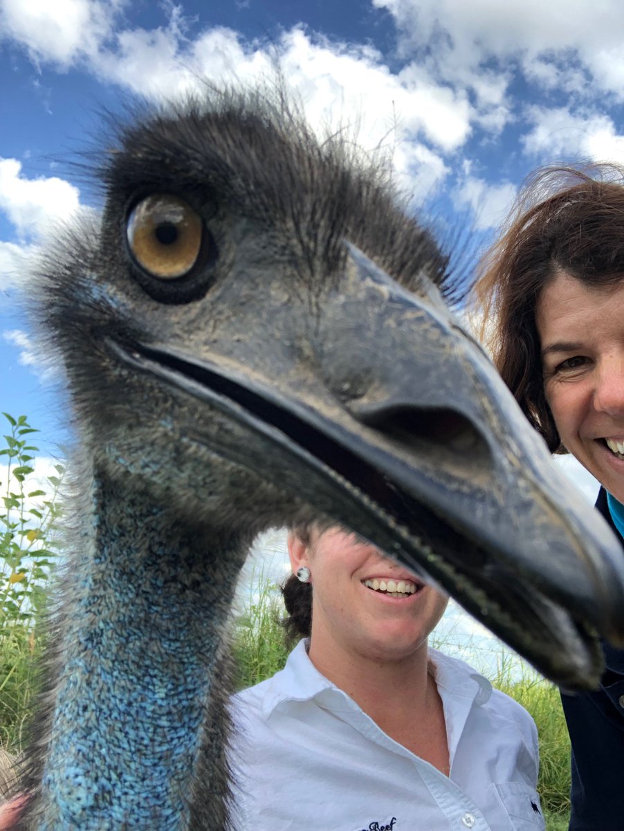 #fredtheemu loves the camera ...