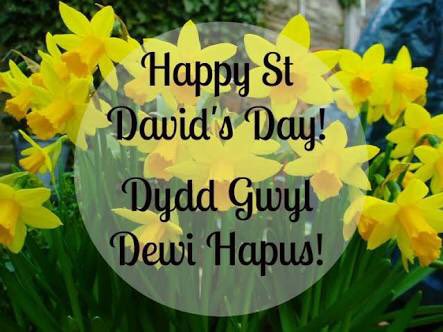 BevMoyle's tweet image. Happy St David’s day from a welsh couple living in sunny Johannesburg, South Africa