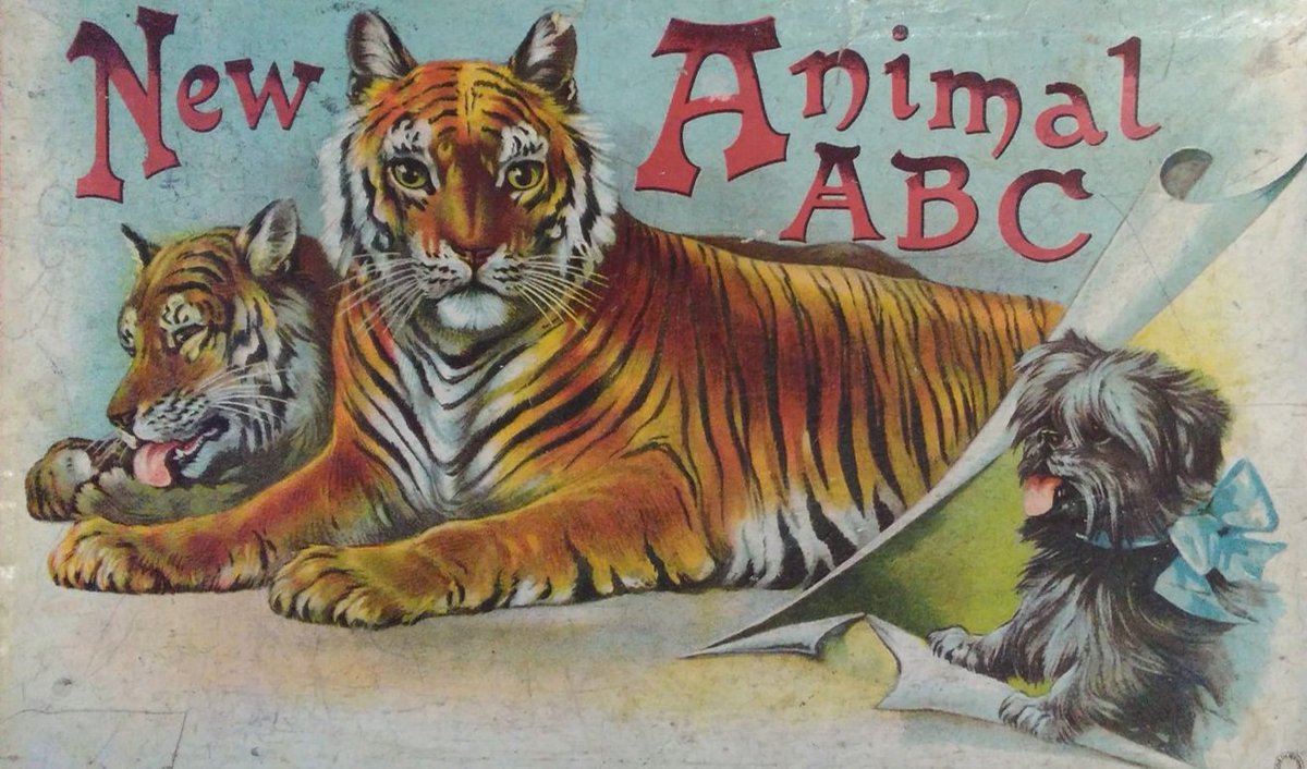 Lynn_Museum's tweet photo. A reminder that we will be offering free admission until 31 March. We are open Tuesday - Saturday 10am-5pm. Pop in and say hello or come and see our Animal ABC exhibition #AnimalABC #freeadmissions #lovewestnorfolk #kingslynn https://t.co/0W1LoDjV3y