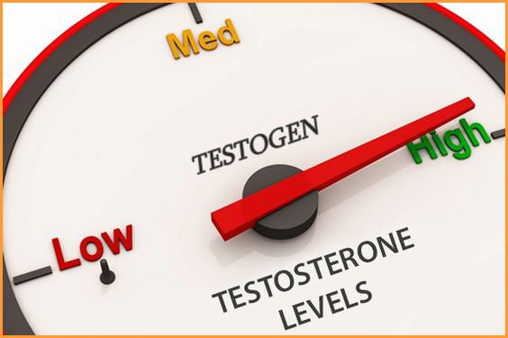 Testogen_'s tweet image. What happen if testosterone is high?

#testogen #testogenguide #hightestosterone #tlevel #malehormone #menphysique #energy #life #libido #mojo #livelife

bit.ly/2DIlBJ0