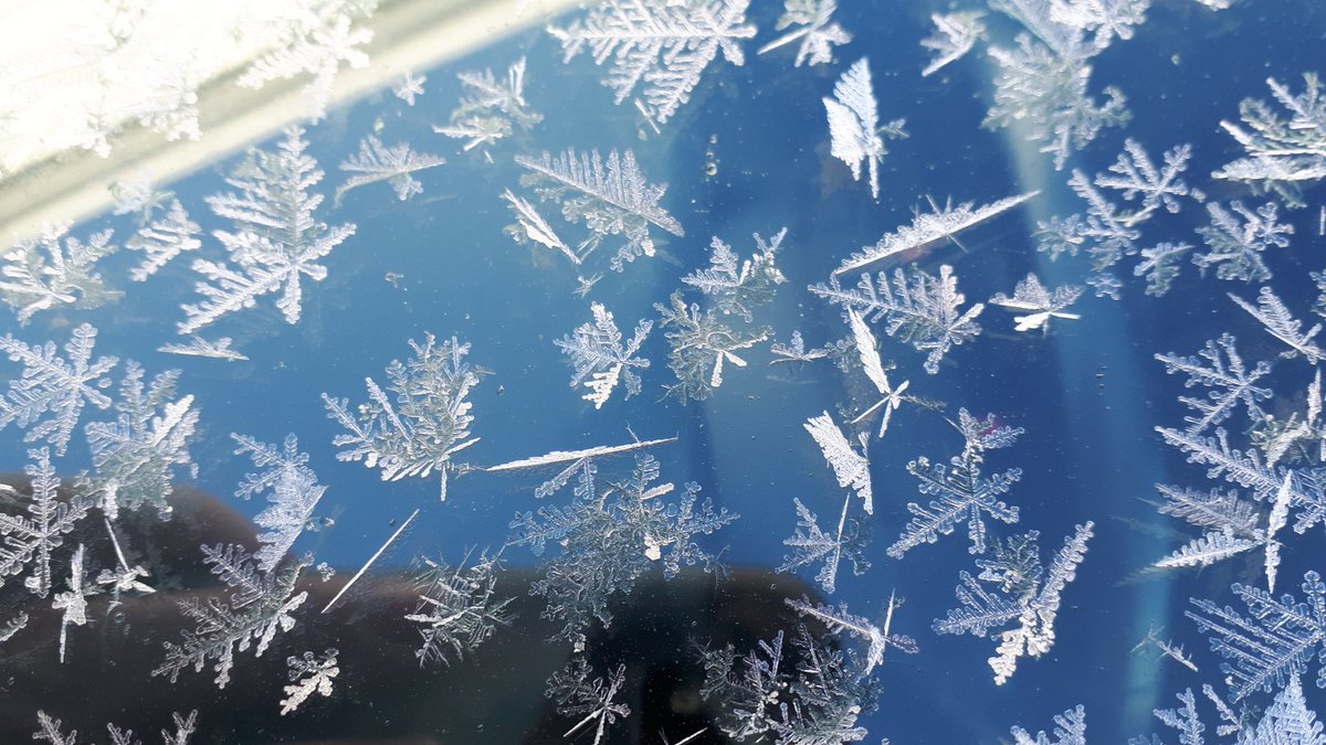 ScottWx_TWN's tweet photo. Cool hoar frost crystals on the car windshield this morning.
I like how some of the branches are sticking out, away from the glass.
#MeteorlogicalSpring https://t.co/VPKSaSUAif