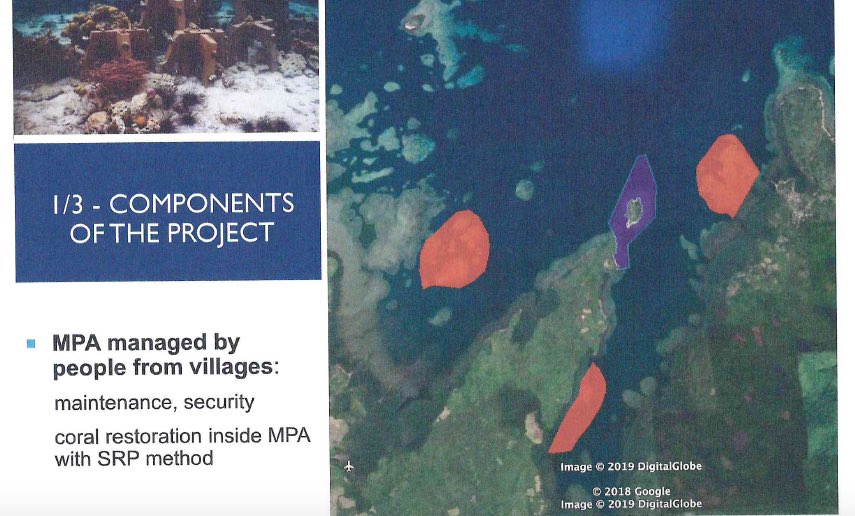 Adora_4Research's tweet photo. Productive meeting of the Palawan Council for Sustainable Development yesterday. I and other council members decided on various proposals, and rendered a favorable decision on a project for the sustainable development of Pangatalan Island and its bays. #RegionalDevelopmentPH https://t.co/hru1xbsubm