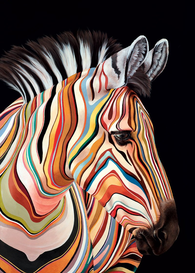 DeMontfortFA's tweet photo. We are delighted to present ‘Designer Friends’, the new collection from Hayley Goodhead…

View the brochure: https://t.co/xqHnFqPiDk 
Find out more: https://t.co/aLxPVDrukA 

#fineart #limitededition #contemporaryart #animalprint #newcollection https://t.co/mEm1wORCop