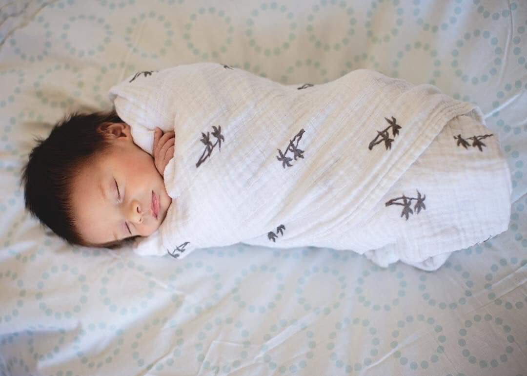 AyresTyler's tweet photo. My little taquito #SwaddleUp https://t.co/gz1L5Bo1GP