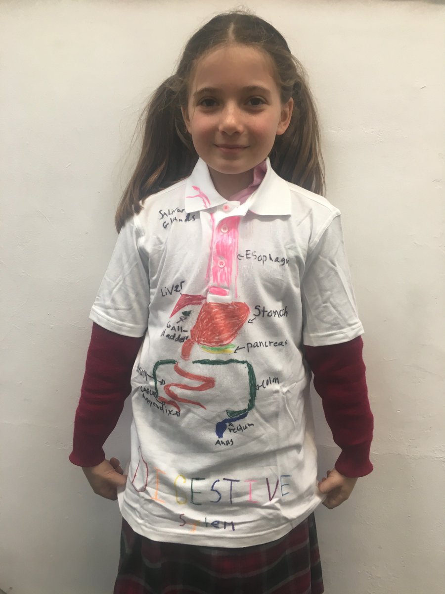 Year 4 are bringing the digestive system alive in Science today.  Some fantastically creative ideas!