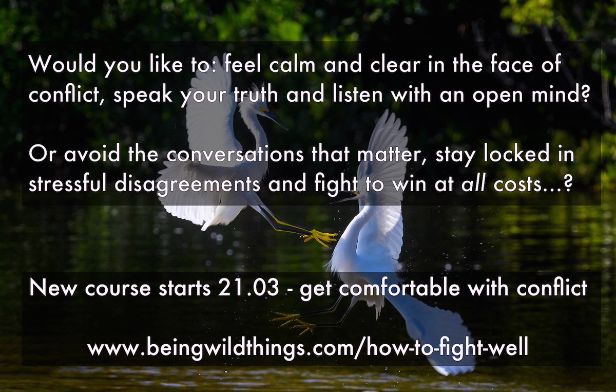 In any other species, conflict is a natural and essential function for life. Come and learn how to reclaim the power and wisdom in conflict: beingwildthings.com/how-to-fight-w…
