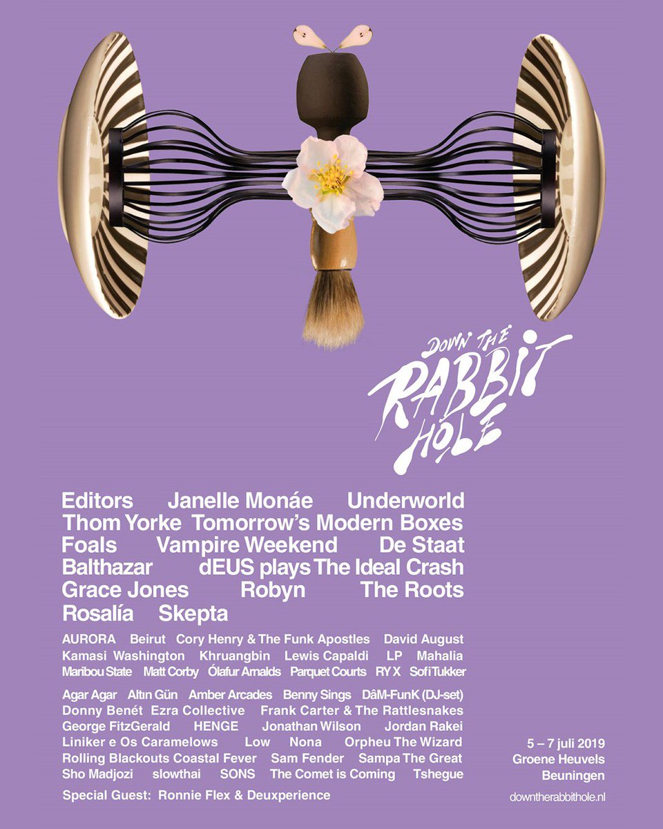 Down The Rabbit Hole tweet media