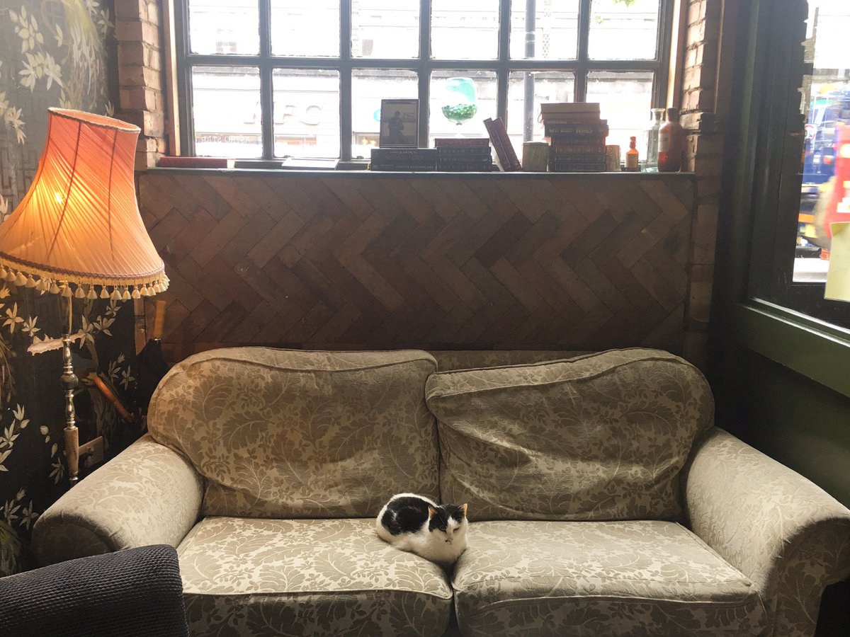 TheOldGeorge's tweet photo. Sorry this seat is taken.... https://t.co/ep7MXbOGWJ