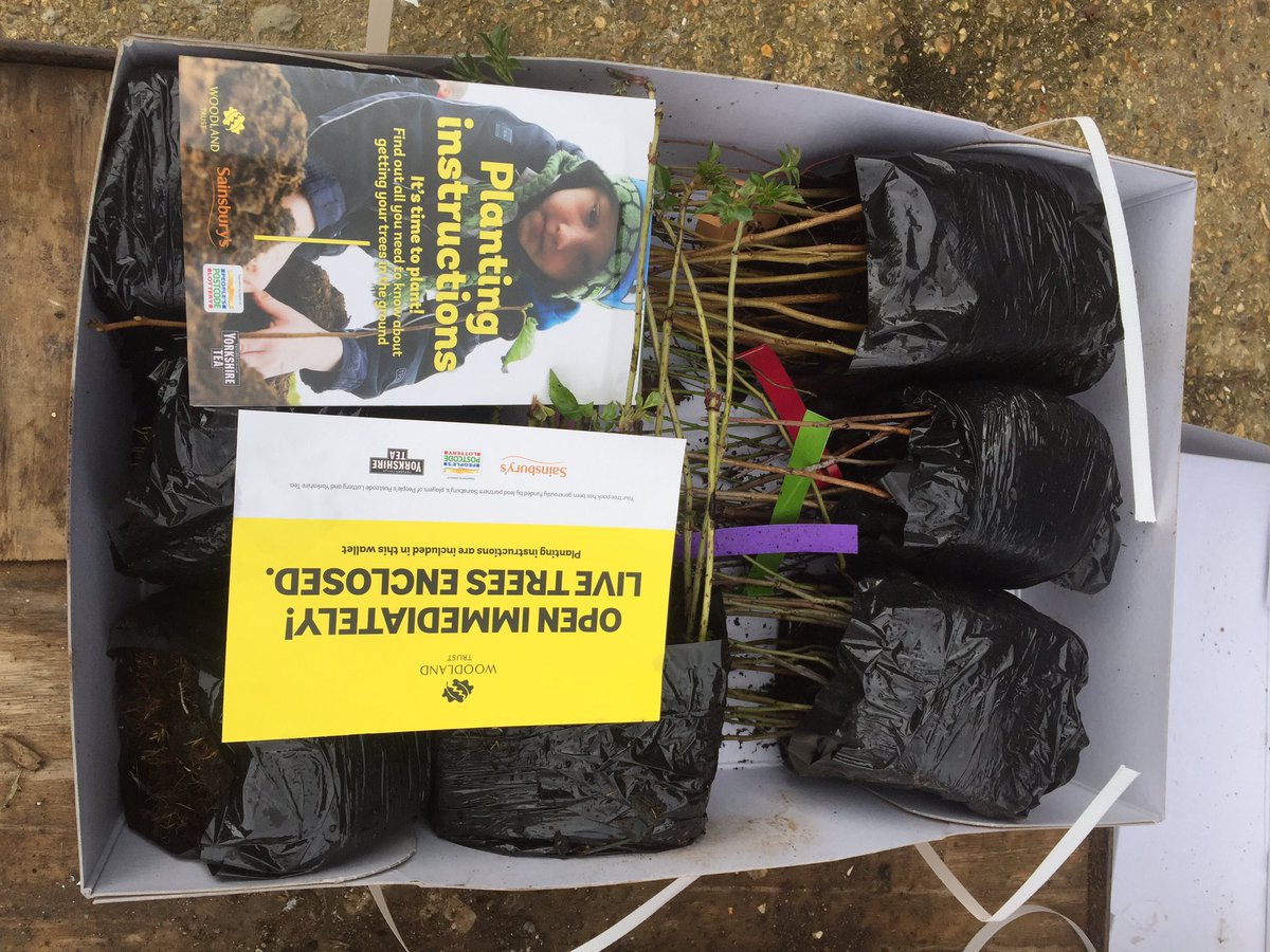 Cobnor's tweet photo. The Woodland Trust thank you for the trees 🌳 we will be putting these to good use. #creatinghabitats for wildlife 🍃🌿🎄🌳🌲🐿🦡🐾🦔🕷🦗🦟🦇@chichesterharbo @WoodlandTrust @ChiHarbourTrust @NaturalEngland @NativeWoodTrust @2VolunteerNow https://t.co/7QaMvnOyPh