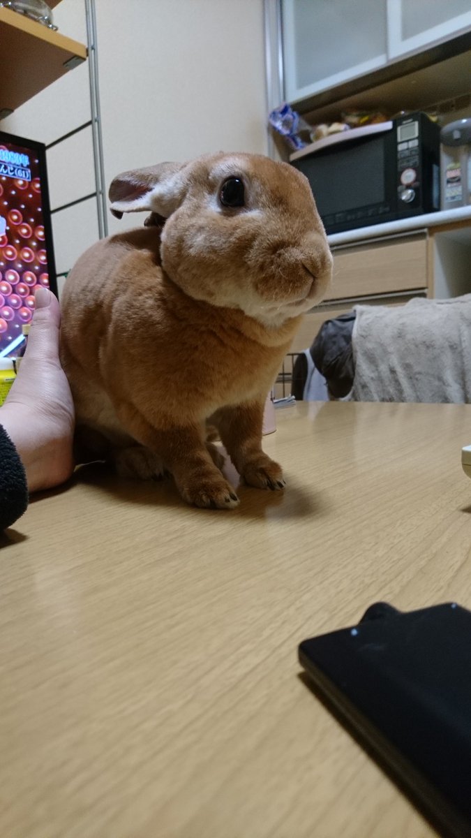 こんばんは(о´∀`о) ３月もよろしくお願いします(*´ω｀*)