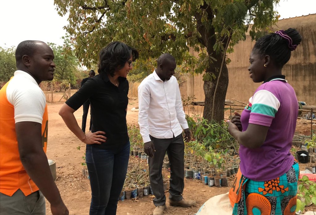 AudreyPulvar's tweet photo. À la ferme collective de #Guiè av. @MalamSaguirou et l’équipe de #TerreVerte #AZN Nous constatons chaque fois les résultats si encourageants de ce dispositif inclusif,circulaire,responsable. 11 villages,232 familles... #Fertilite #Agroecologie #BePartOfThePattern @African_Pattern https://t.co/NrAJbl1M9i