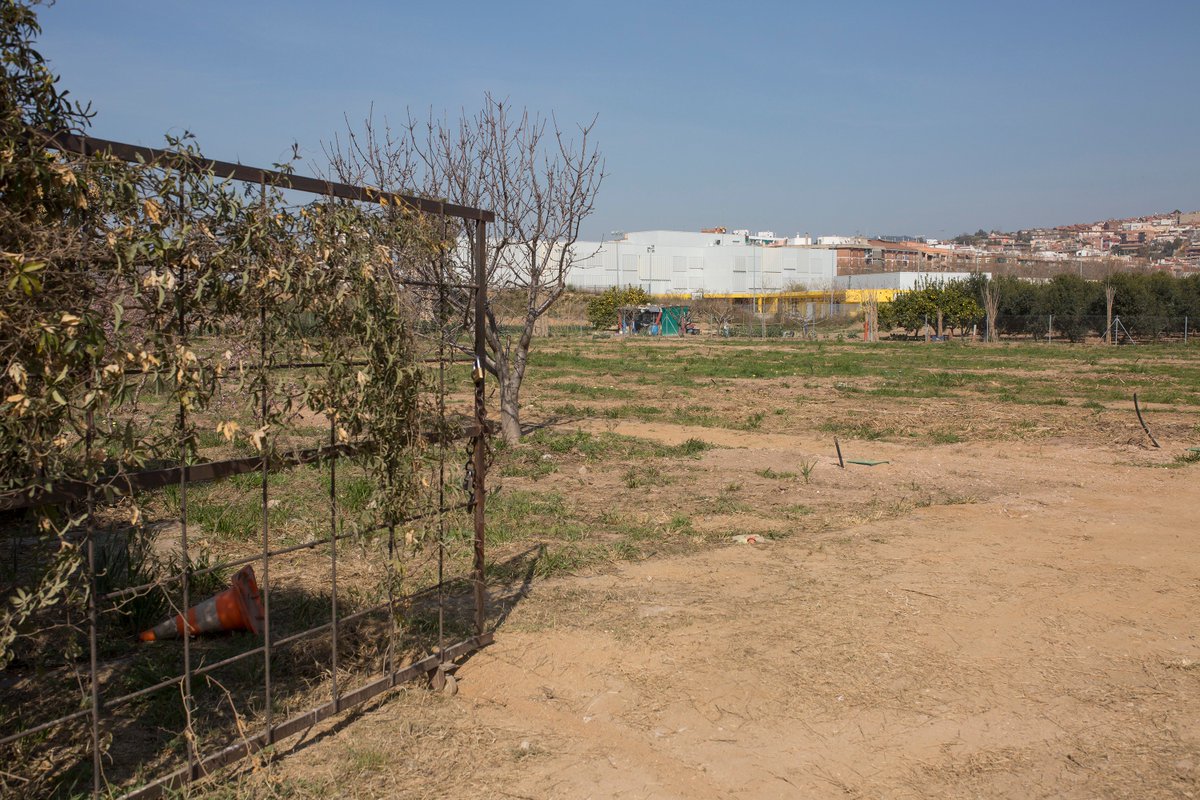 AjMolinsdeRei's tweet photo. L’Ajuntament posarà 33 horts urbans a disposició dels veïns i veïnes #molinsderei @mediambientmdr https://t.co/9ohePAhVhl https://t.co/1Tnjho2a6v