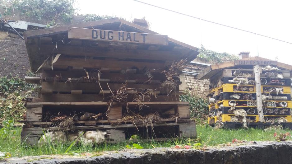 Bee Friendly Trust tweet media