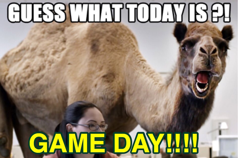 SVVikingsSports's tweet photo. It’s game day!!!! We need all of #VikingNation to come out to CLA tonight to support our ladies. #SVfam  @SVBaseball00 @SV_Track_Field @SV_Girls_Soccer @svlaxboys @Viking_Soccer14 @sv_volleyball @SVWrestle @SV_VikingsSB @SVHSvikingcheer @SVHStuco @SV_girlsXC @SVHSMagnetNews https://t.co/ZScFfLF6m0