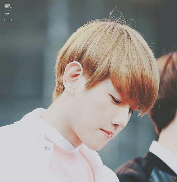 plz rt 🙏
<My Baby พี่รหัสของผม SS2>
▶ Chapter 3 : loneliness
▶ #ficพี่รหัสของผม
▶ จิ้ม👉 {my.dek-d.com/AuaumCB/writer…}

@exofictionTH @SEBAEK_TH <a href="/Ourhunbaekth/">Our HunBaek Thailand</a> <a href="/Homefichunbaek/">บ้านฟิคฮุนแบค</a> <a href="/hunbyunn/">SB 🍋 ◡̈ (rest)</a>
#hunbaek #sebaek #ฮุนแบค #แนะนำฟิคฮุนแบค 💕