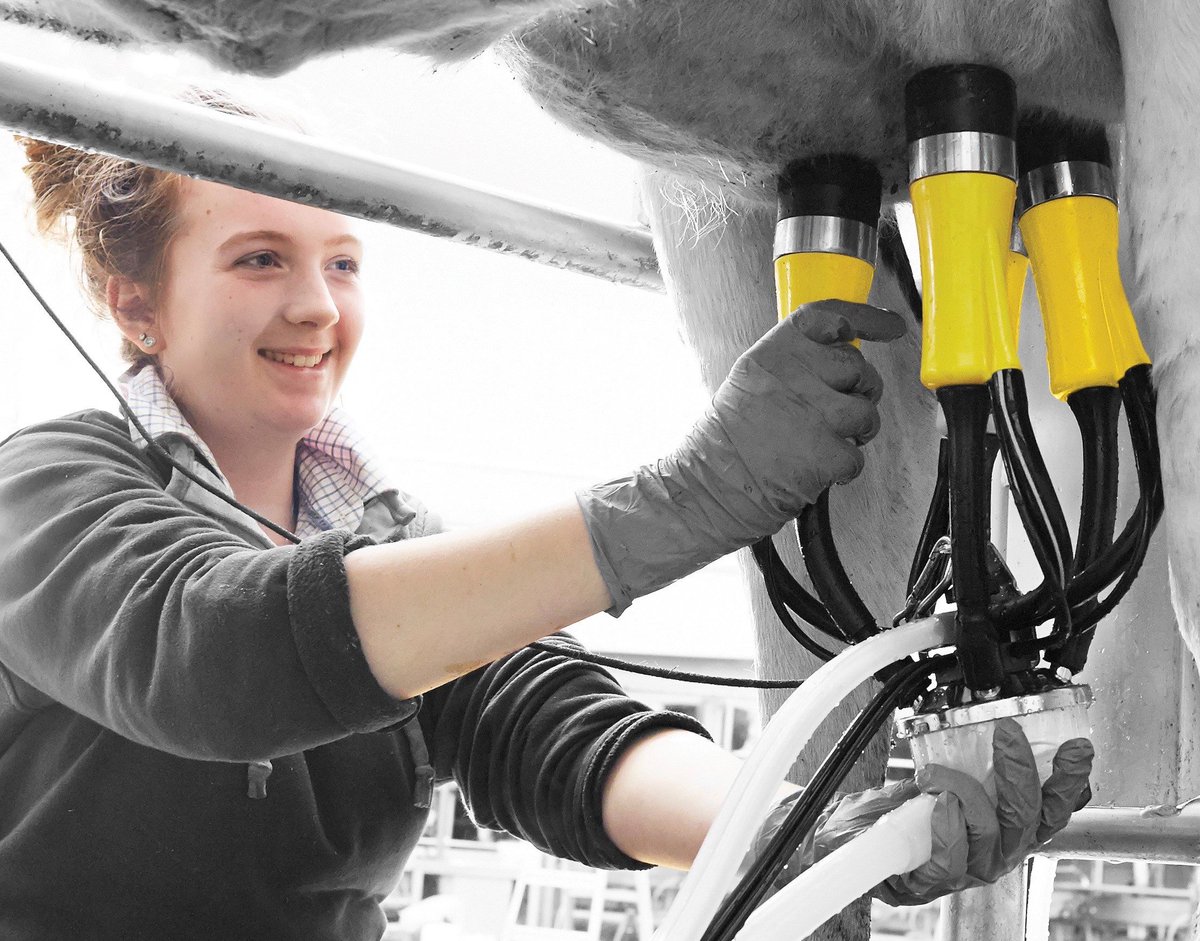 ADFMilking_UK's tweet image. Reduce the stress on your cows, save on labour costs, improve SCCs and reduce the number of mastitis cases, all with the ADF System