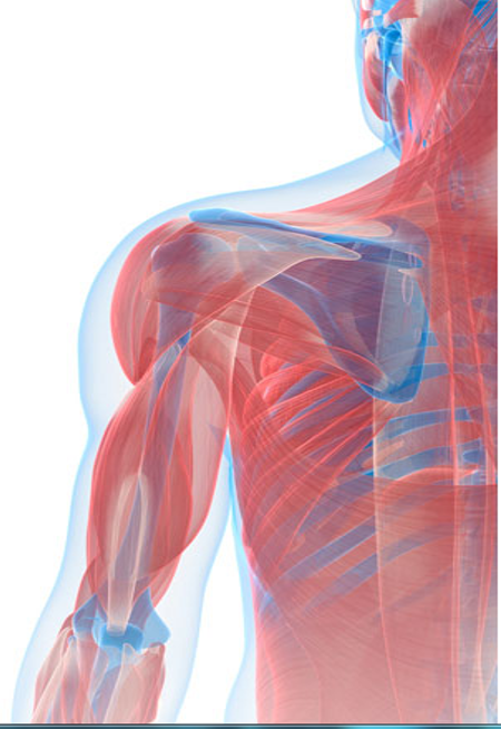 rdukchat's tweet photo. Book your diary for Monday's #RDUK #malnutrition chat. Share views on best dietary factors for maintaining #musclemass. Special guest @ashurst_ione Head of Therapies @royalmarsdenNHS. Join us 8pm for stimulating way to earn #CPD. This chat is kindly supported by @AbbottNews #sp https://t.co/Z7Z0Z8L1uP