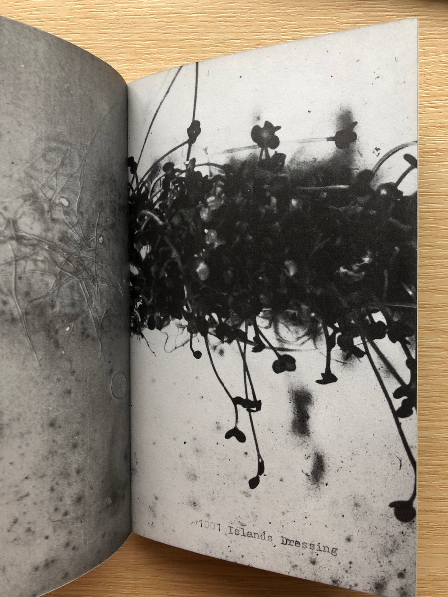 Second book in my chain of seven, cherished copy of #Foolscrap (1973) by Telfor Stokes of Weproductions #artistsbooks #1970s - visual essays that open out so many new ways of moving through texts