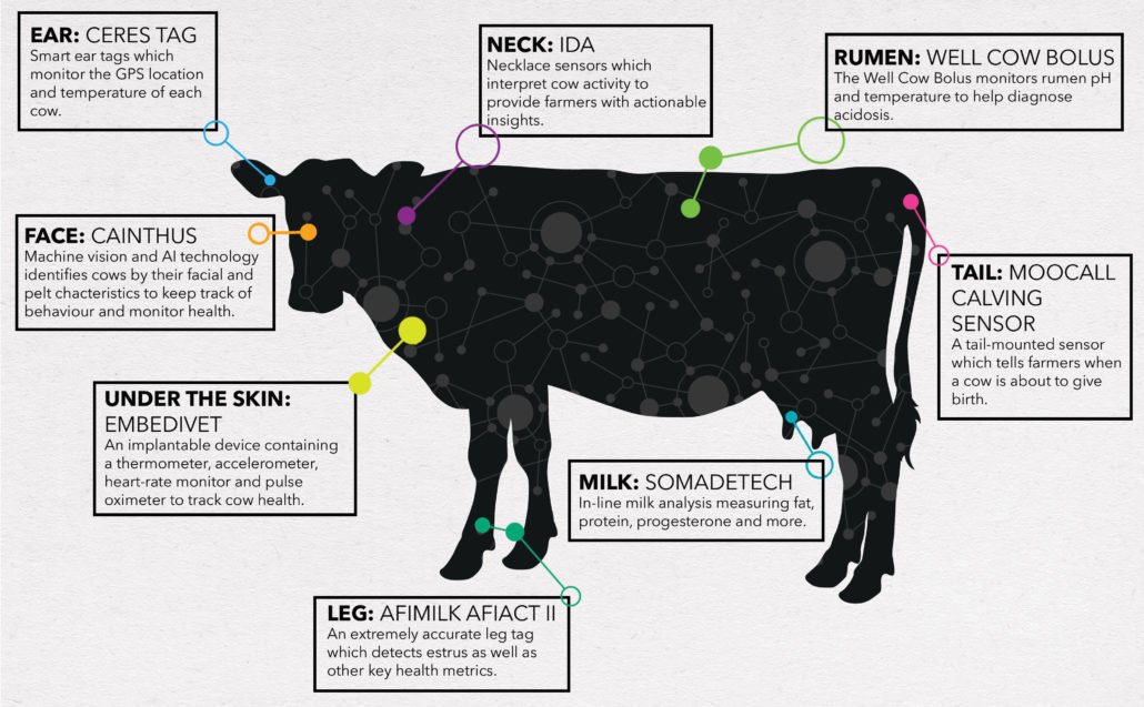 IoT_Horizon's tweet photo. The Connected Cow:
🐄Allowing farmers to take better care of their livestock by remotely monitoring cows
🐄Enabling farmers to be more productive
🐄Warning indicators for sickness or labour
Want to learn more? https://t.co/MvAZroAKAU
#SmartCow #SmartFarm #IoT #ConnectedCow https://t.co/kHC4vPDIAH
