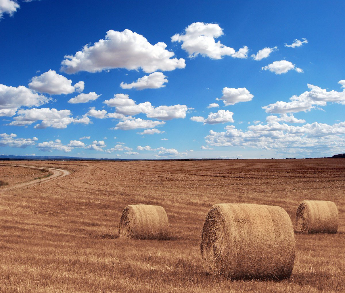 Pest control for farms and agricultural premises is essential. Pest species are cause for major concern, not only due to the potential loss of revenue due to crop damage but if left untreated, can also cause significant damage to machinery, equipment and property as well.