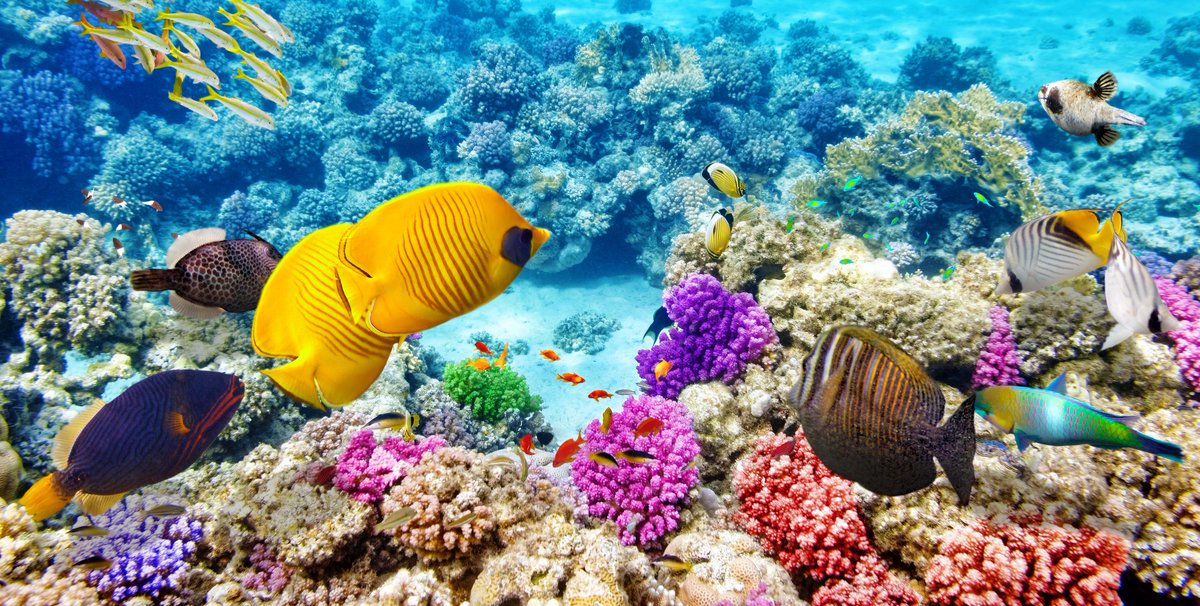 😍 am 07.03. ab Wien nach Hurghada
🍸 1 Woche All-inclusive / Preise p.P.

☀️ The Grand Hotel
🌴 ab 421,-
☀️ Grand Resort
🌴 ab 431,-
☀️ Siva Grand Beach
🌴 ab 497,-

bit.ly/2IJoTQf

☀️ Grand Makadi
🌴 ab 574,-
☀️ Sunwing Waterworld
🌴 ab 598,-

bit.ly/2XwV9cL