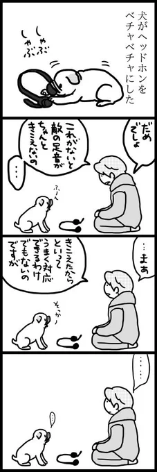 ゲーム用ヘッドセットについてまた同様の事件が起きたものの、今回はきちんとスペアを買ってあったので飼い主の作戦勝ちと言える
↓過去の事例 