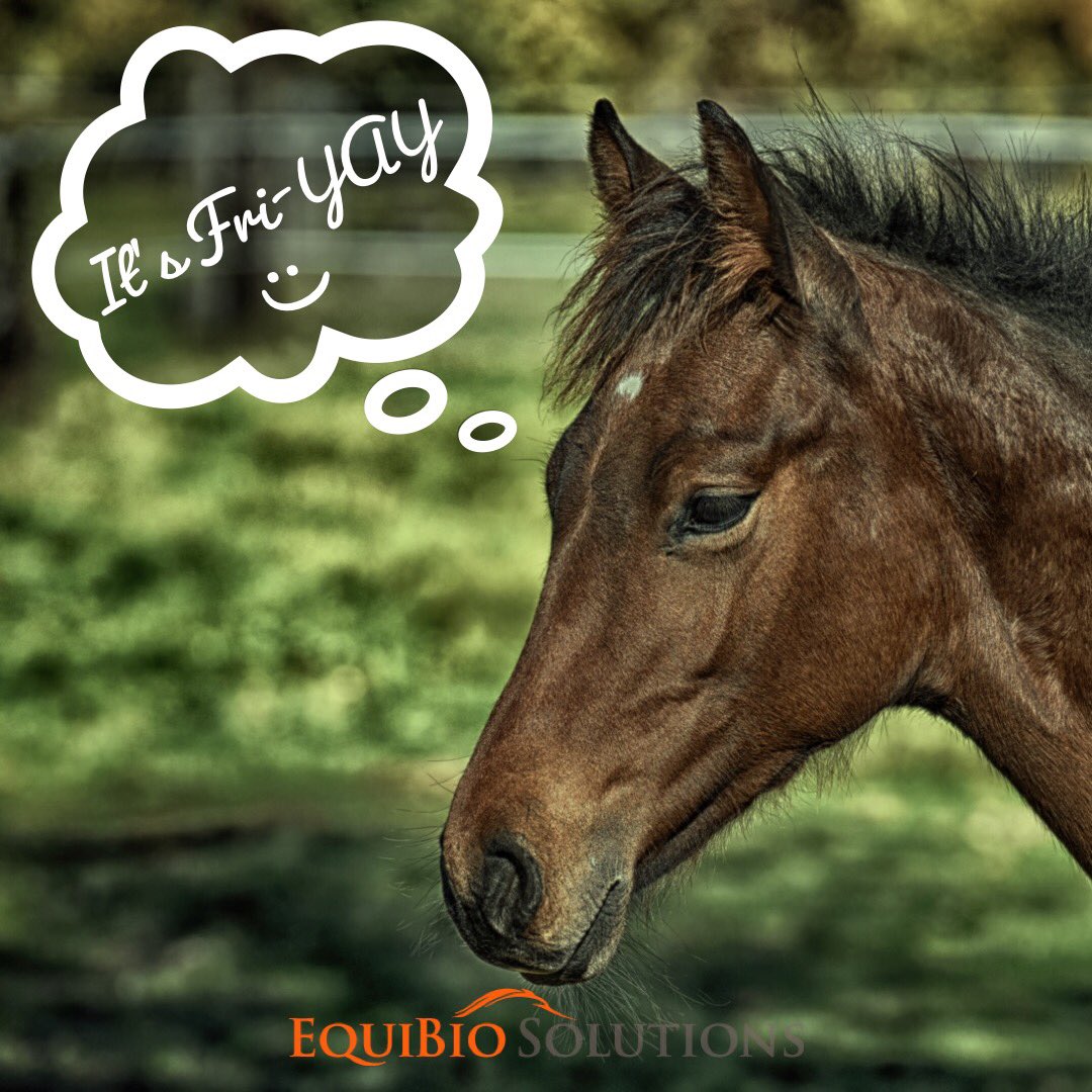 EquiBioSolution's tweet photo. Happy Fri-YAY!! Hereβs to a fantastic weekend ahead ππ΄π #EBS #EquiBio #RegenerativeMedicine https://t.co/4nEfSSQbMO