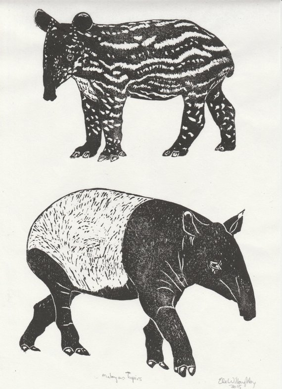 Vera_Ore's tweet photo. https://t.co/4T3m3qZ5fy >Tapir and Baby Linocut https://t.co/DYtKALVlro