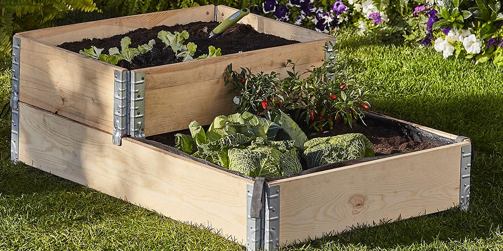 B&q Garden Plants 2019