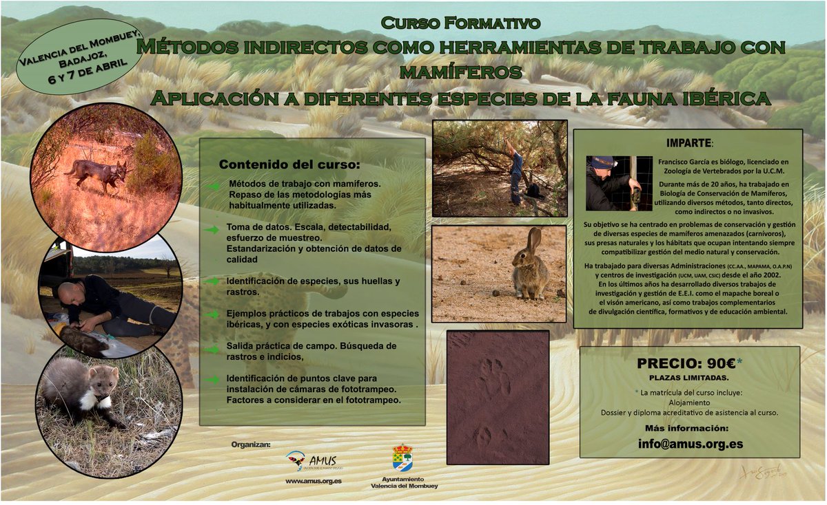 Curso: MÉTODOS INDIRECTOS COMO HERRAMIENTAS DE TRABAJO CON MAMÍFEROS APLICACIÓN A DIFERENTES ESPECIES DE LA FAUNA IBÉRICA Impartido por @FJG_SECEM (Paco García), aprenderemos sobre métodos indirectos y directos en trabajos de seguimiento de mamíferos. info@amus.org.es