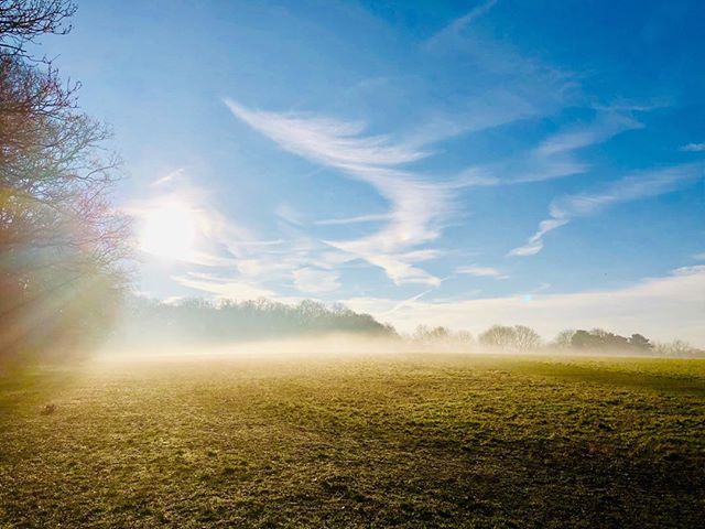 SuttonPoint's tweet image. You made it through the week! Now to spend the weekend enjoying your new home! Take advantage of one of Sutton’s local green spaces like Nonsuch Park.

@indgejack