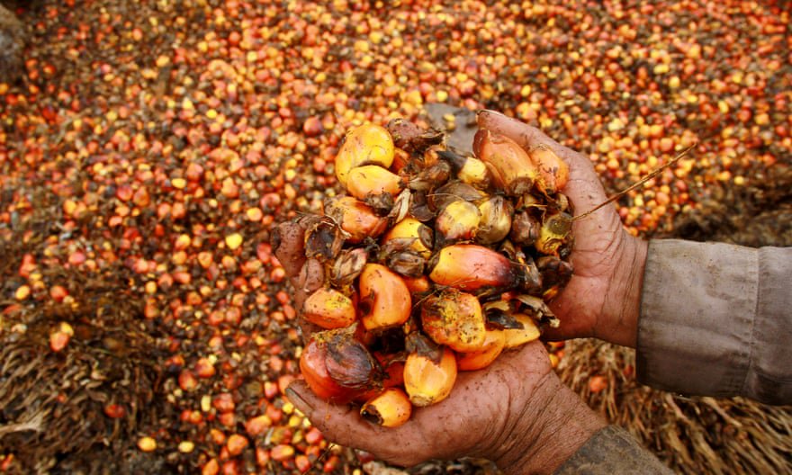 LocavoreMag's tweet photo. Locavore's Friday Feed – 1st March 2019 - https://t.co/Nkxp4IJUTJ https://t.co/WAvVVbkG5T