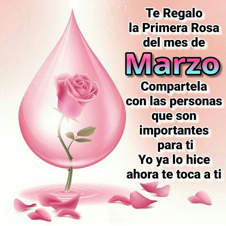 Resultado de imagen de feliz tarde