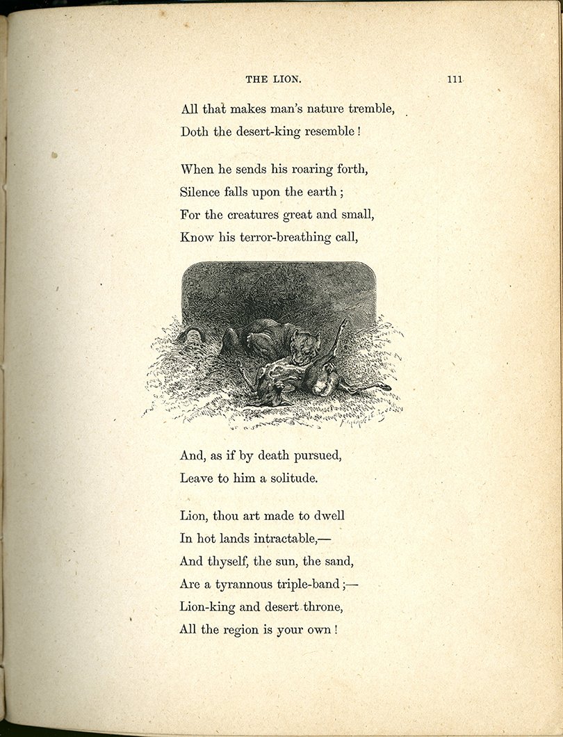 VicPoetryCaucus's tweet photo. Our March image is up! Courtesy of @BrowningLibrary, Baylor University, Waco, Texas, #MaryHowitt's "The Lion" in Sketches of Natural History, or Songs of Animal Life, illustrated by Hector Giacomelli. https://t.co/eDJpYOaoKi https://t.co/dC3l1RP6lD