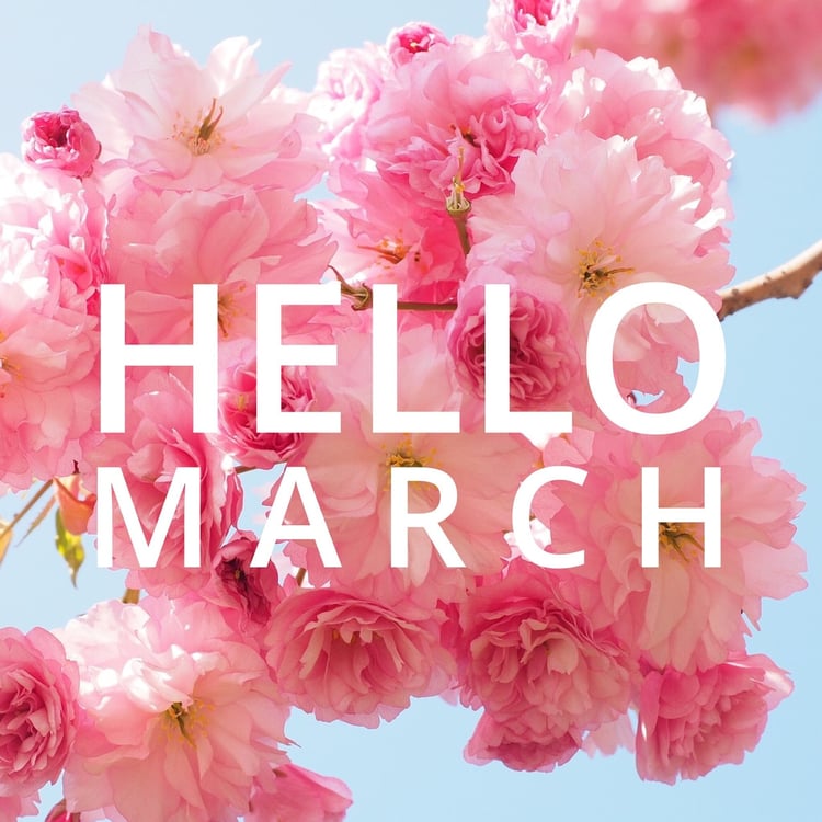 NichelleGregory's tweet photo. 🌼🌺🌷🌸19 Days till SPRING!! 🌼🌺🌷🌸
    #FridayFeeling #soready #blossoms #please https://t.co/Kd72RetK5P