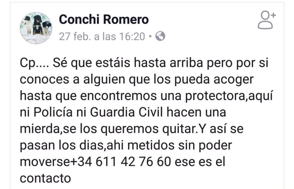 Dani Rovira tweet media
