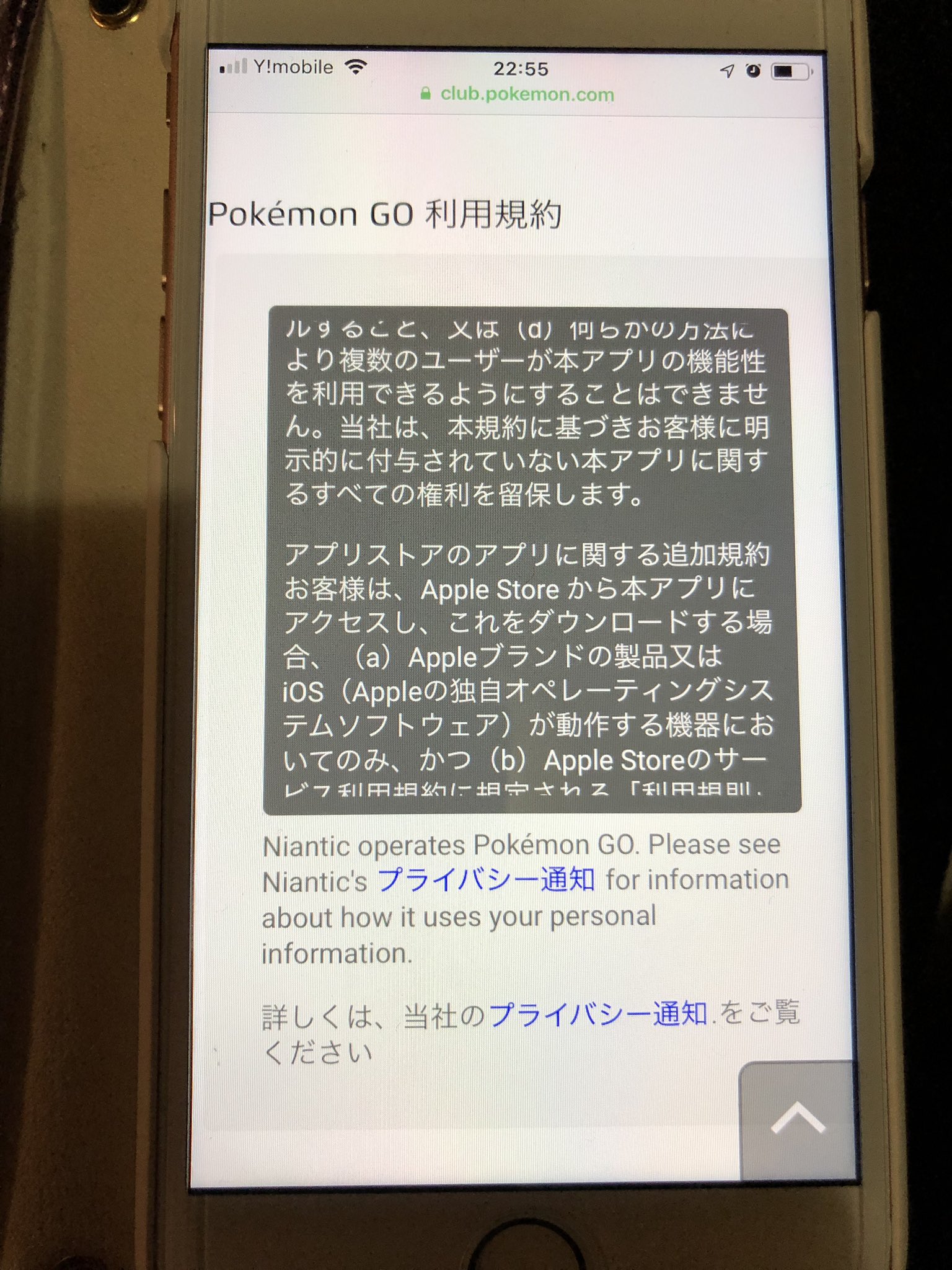 ポケモントレーナーズクラブ Twitter Search Twitter