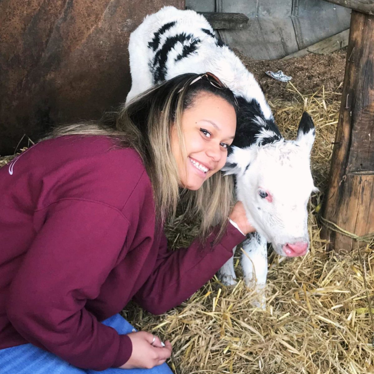 ccpstechcenter's tweet photo. #VeterinaryScience #fieldtrip to @RIchlandsDairy Farm! Our young #animal experts learned about the #dairy industry and made a few #fourleggedfriends along the way ❤️🐄 #oneccps #techcentermagic https://t.co/Xb2ms95Tqr