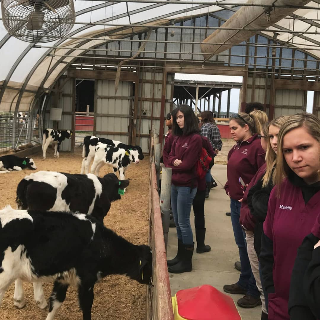 ccpstechcenter's tweet photo. #VeterinaryScience #fieldtrip to @RIchlandsDairy Farm! Our young #animal experts learned about the #dairy industry and made a few #fourleggedfriends along the way ❤️🐄 #oneccps #techcentermagic https://t.co/Xb2ms95Tqr