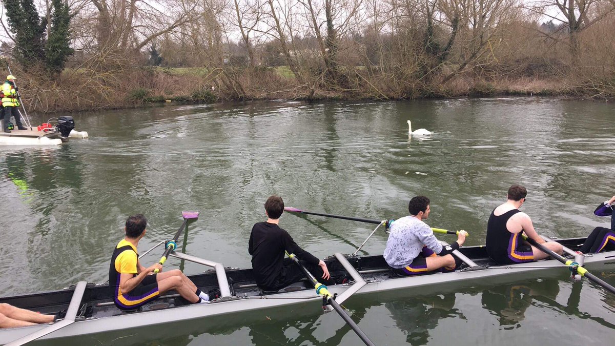 NewCollegeBC's tweet photo. Swan on the bungline of men’s div 4 https://t.co/rUX9Al0qiH