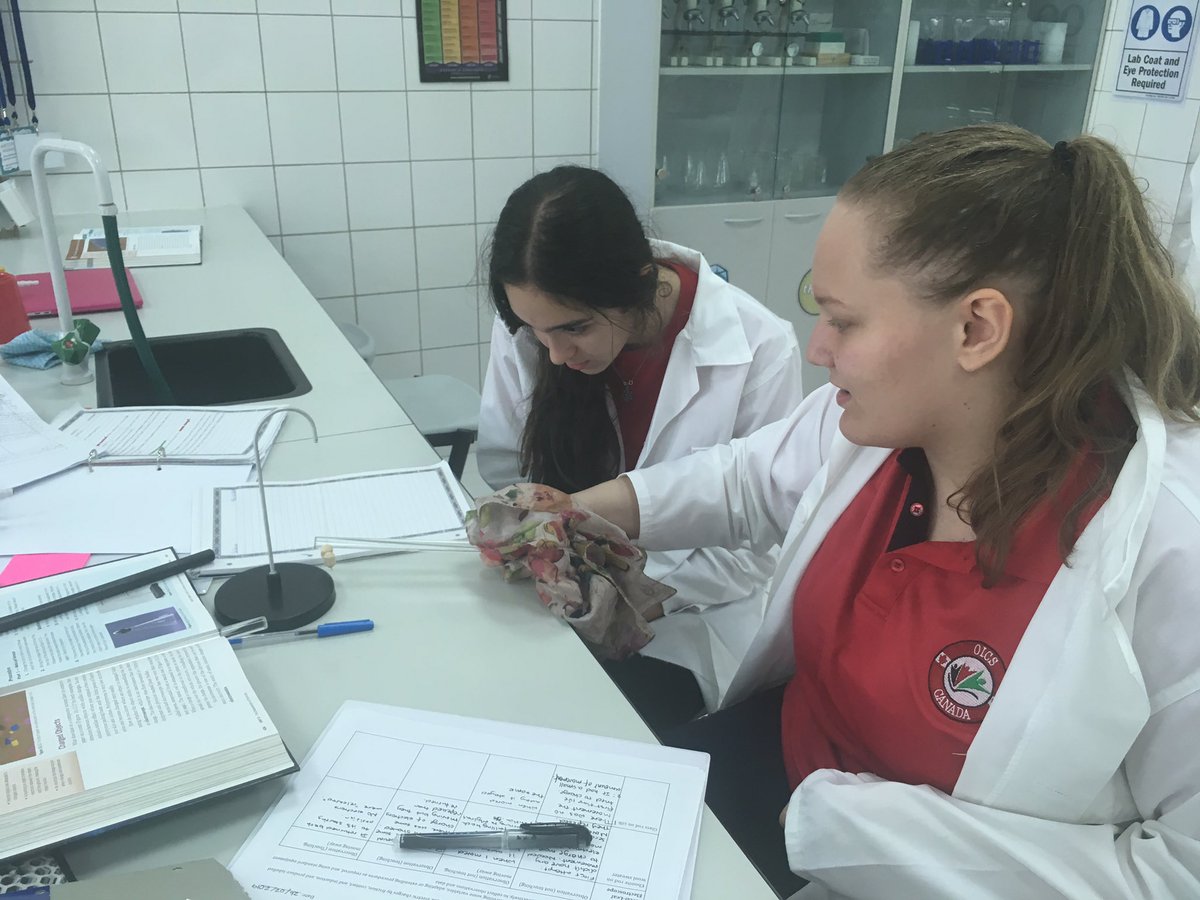 MsYasminsLab's tweet photo. Pupils made their own electroscopes to test static charge then conducted several experiments to observe the effects. #staticelectricity #physics #OICSscience https://t.co/IQrjHx4Jhb