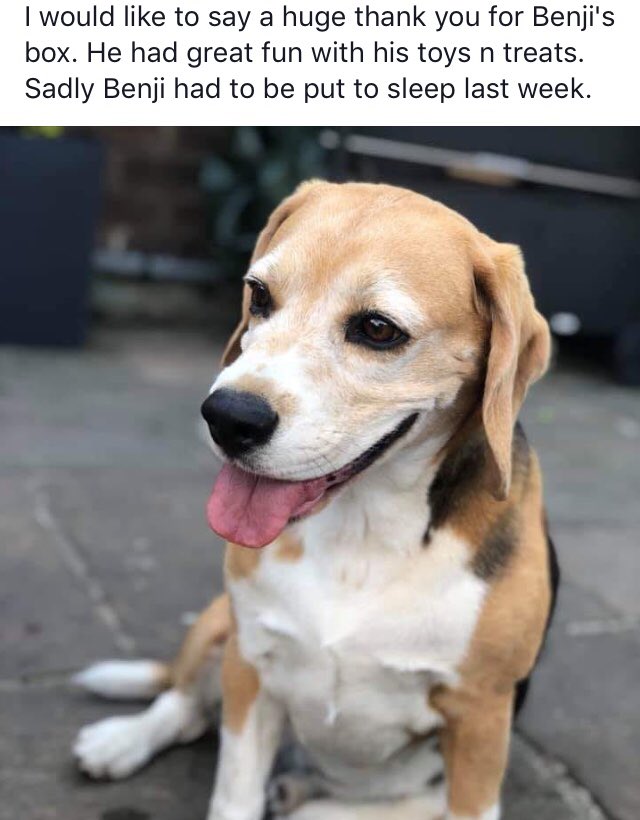 Run free Benji 😞🐾🌈