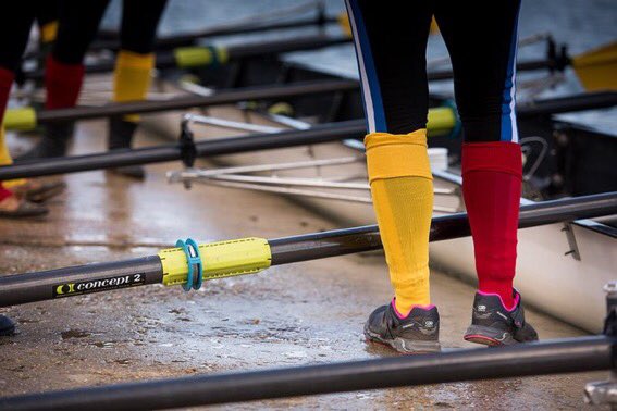SirTimHitchens's tweet photo. Waiting for swans to move out the way before the next race can begin here on the Thames....Great #Torpids2019 for @WolfsonRowing so far this week. @WolfsonCollege https://t.co/RE6bw83Pri