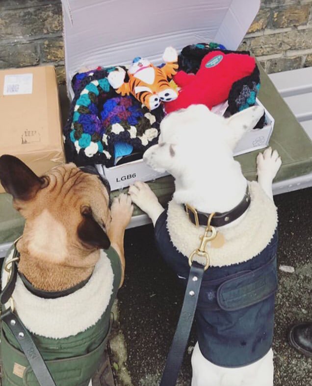 This handsome dude is Carlos ❤️ 
He’s been travelling all the way to Italy for radiotherapy and is putting up a massive fight 💪 he absolutely loves his smile box 🤗