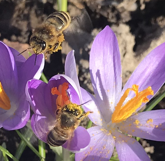 Der Kalender zeigt #Frühlingsanfang und wir haben Frühlingspreise für Ihre 
Marketingkampage 2019. Alle Infos hier >🌻
umweltfreundliche-mailings.de/preise/preise