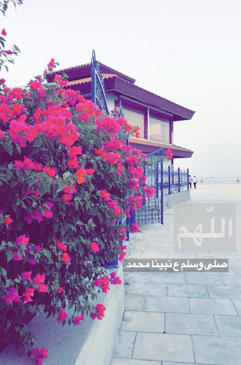 #يوم_الجمعه قال صلى الله عليه وسلم : إن من أفضل ايامكم يوم الجمعة فاكثروا علي من الصلاة فيه فإن صلاتكم  معروضه علي ..