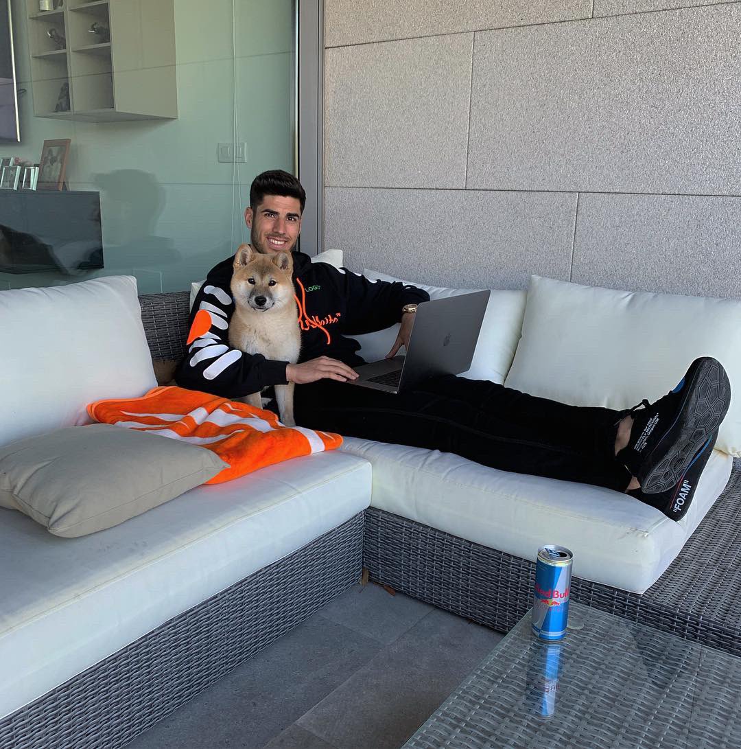 marcoasensio10's tweet photo. Disconnect to reconnect. #TeDaAlas @redbullESP https://t.co/nBJ65BBNDn