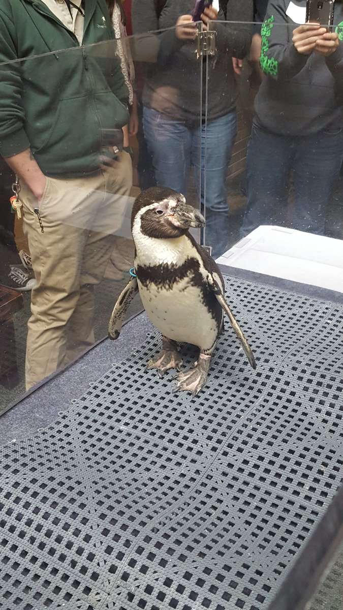 Mrs_Galla's tweet photo. Excited to spend the day with @LaurieKoeppen at the ISTA Life Science Institute @brookfield_zoo! https://t.co/LmrIn8OQqZ